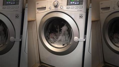 porn stuck|Stuck In Washing Machine Porn Videos 